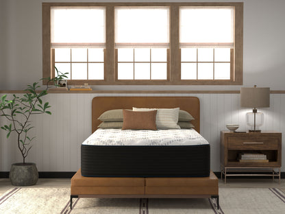 Ultimate Luxury - Ballard 16" Foam Encased Plush Latex Hybrid Mattress